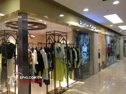 迪斯廷.凯-DistinKidny