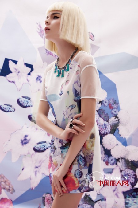 迪斯廷.凯-DistinKidny