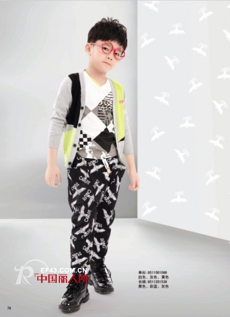 卡儿菲特-carlfit