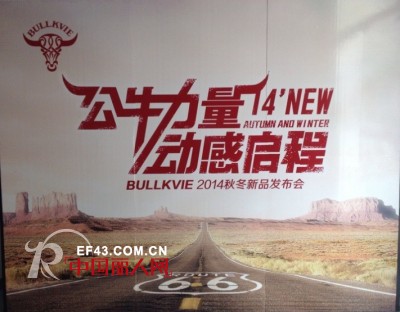 公牛动感 - bullkvie