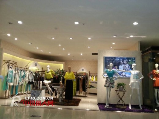 迪斯廷.凯-DistinKidny