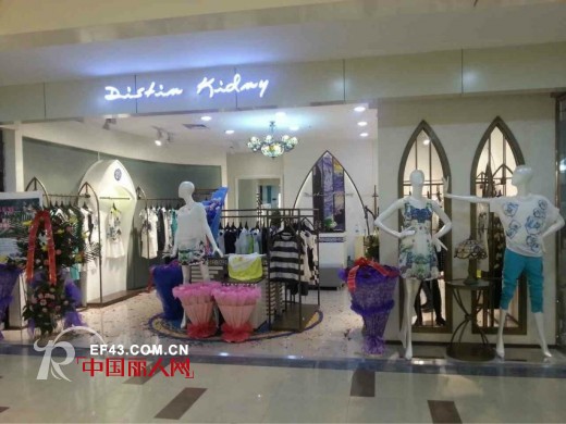 迪斯廷.凯-DistinKidny