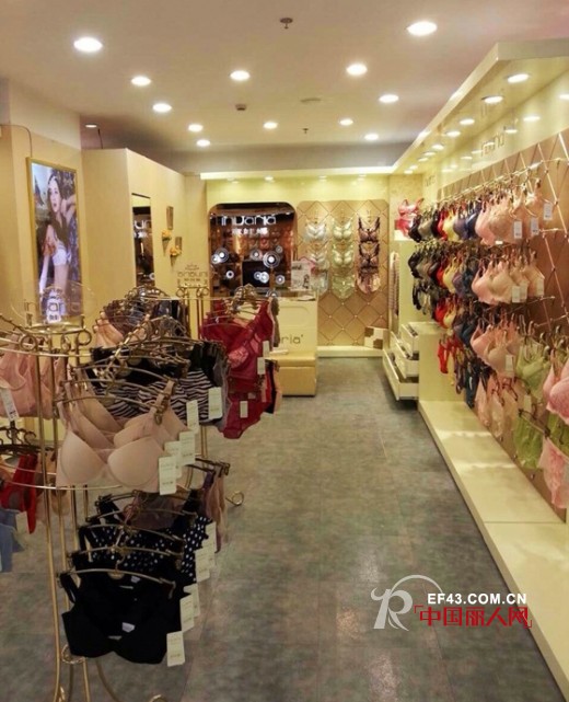 上海意娃娜内衣急招代理入驻郑州百货大楼