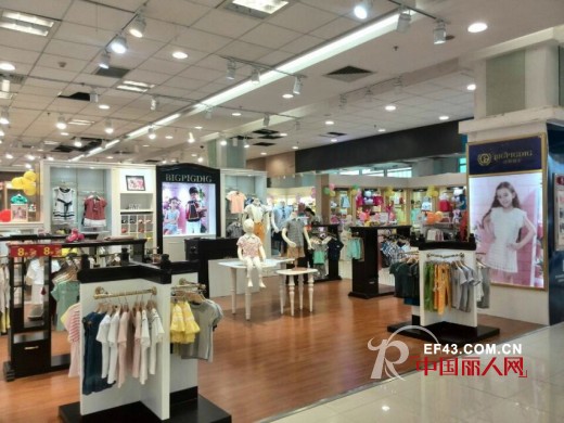 比格佩帝-BIGPIGDIG