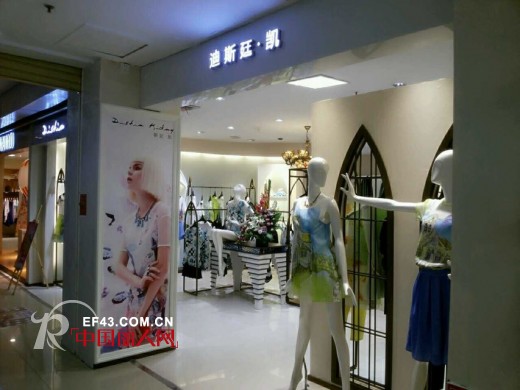 迪斯廷.凯-DistinKidny