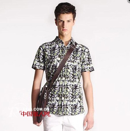 与狼共舞 - DANCING WOLVES