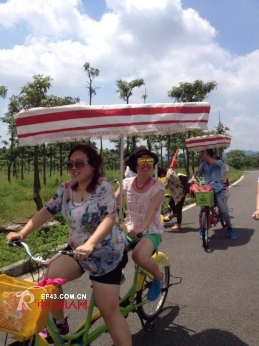 泰利公司端午佳节趣味多 举办松山湖骑行游及拓展活动