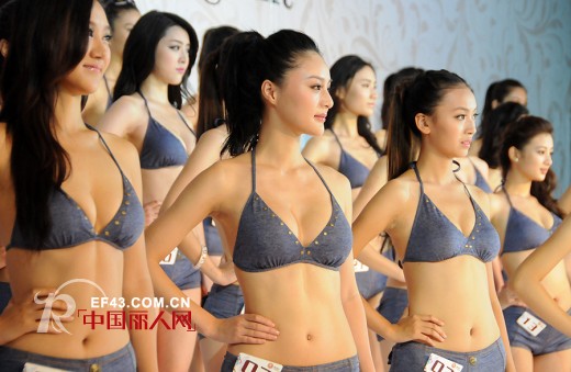 百丽挺-Beautifullady