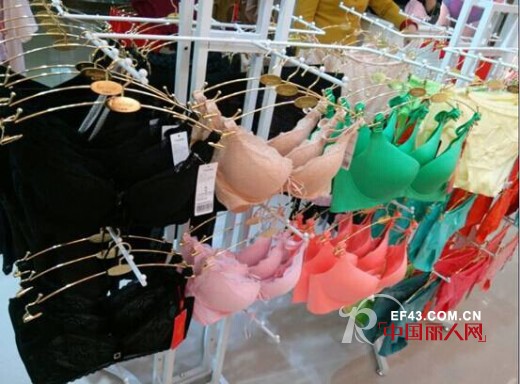 湖北骆女士韩丽尔内衣加盟店 新选择开创新生活