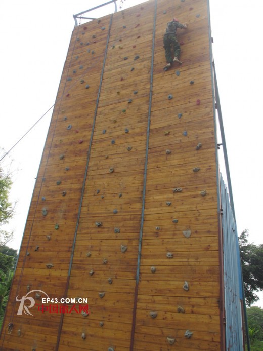 百丽挺《团队必胜》拓展培训活动