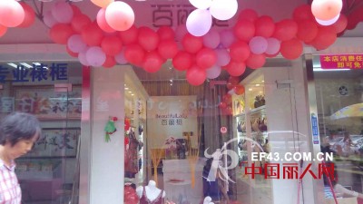 百丽挺-Beautifullady