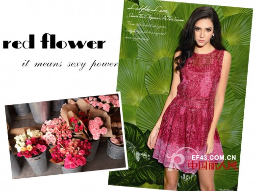 停下繁忙的脚步,FULLTEAM与你一起感受花儿的浪漫