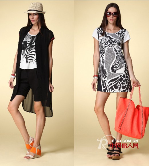 【JC5 TRENDS】太阳花,属于夏天的符号