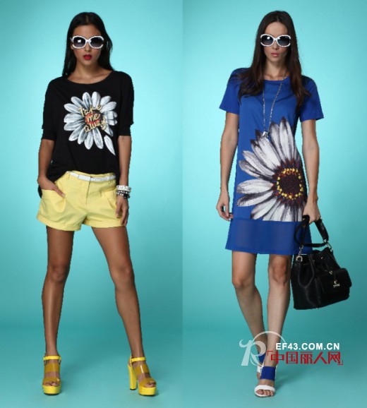 杰西伍 - JECCI FIVE