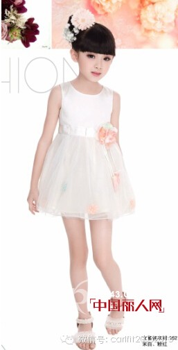 卡儿菲特-carlfit