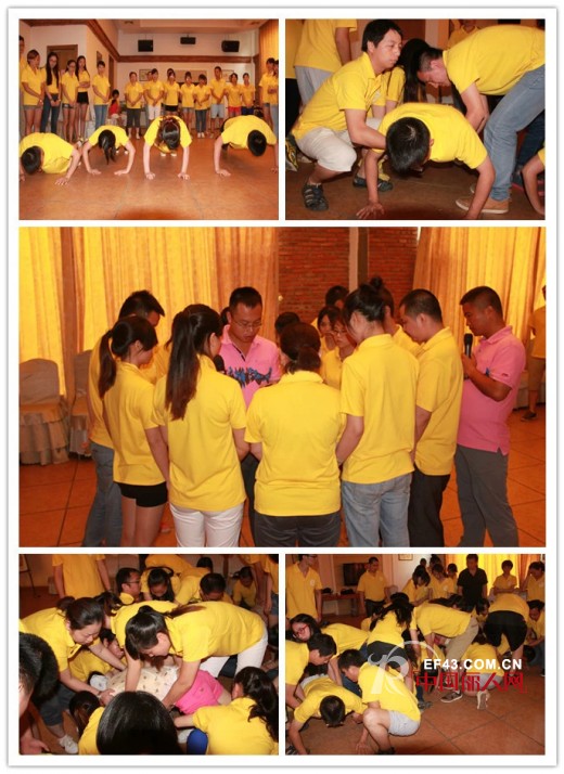 “2014迪芬娜精英特训营”---户外拓展活动花絮