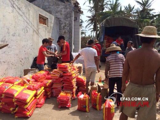海南同胞,挺住!我们来了!!