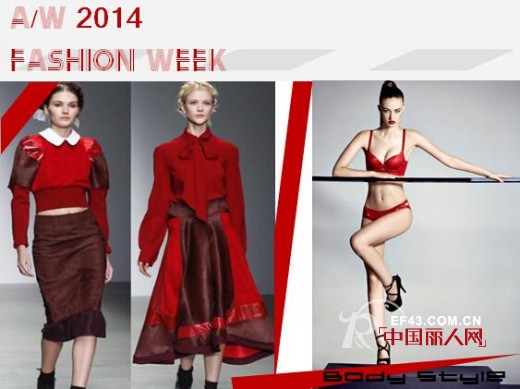 布迪设计-BodyStyle