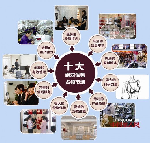 百丽挺-Beautifullady