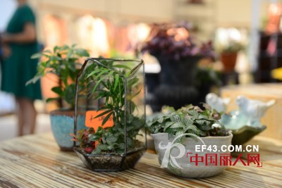 Mildtree全国首家HOME概念集成店隆重开业