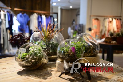 Mildtree全国首家HOME概念集成店隆重开业