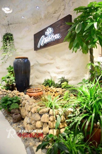 Mildtree全国首家HOME概念集成店隆重开业