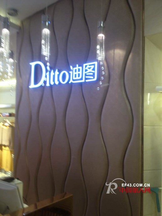 迪图-DITTO