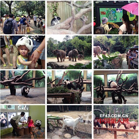 铅笔俱乐部 - PENCIL CLUB