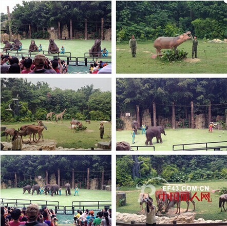 笔笔▪乐园广州站,暑期游继续high翻天