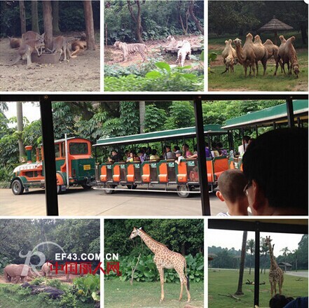 笔笔▪乐园广州站,暑期游继续high翻天