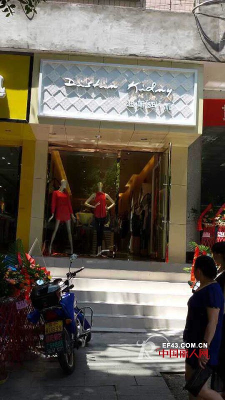 迪斯廷.凯-DistinKidny