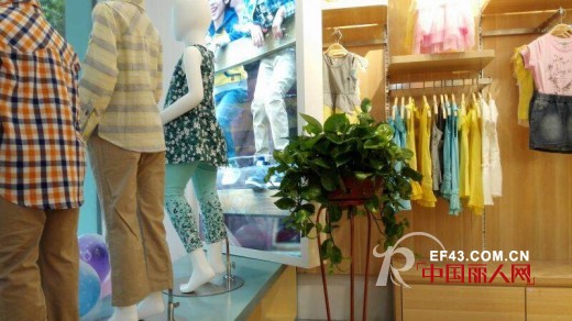 热烈祝贺欣薇尔浙江嘉兴店新店隆重开业