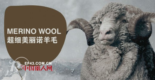 家庭主妇应该知道的:美丽诺羊毛衫的洗涤与保养