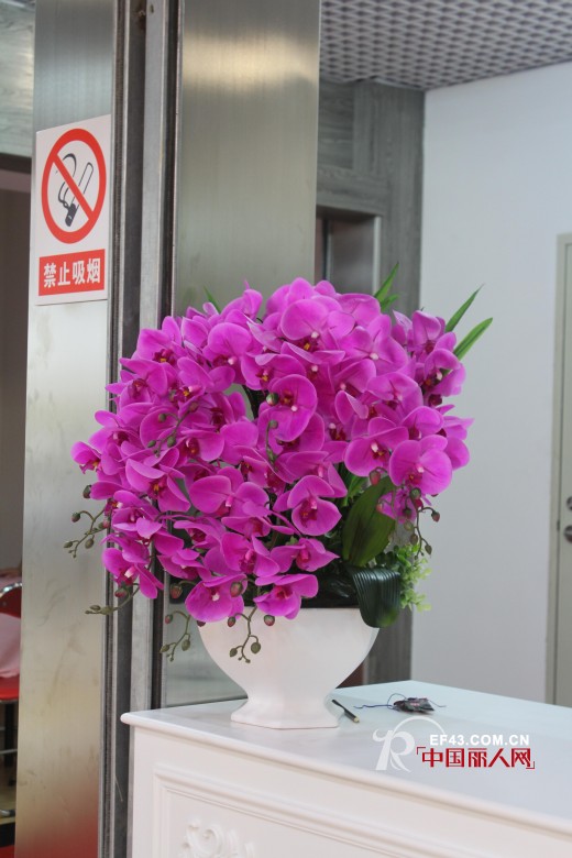 东莞菓子2015春夏新品订货会完美谢幕