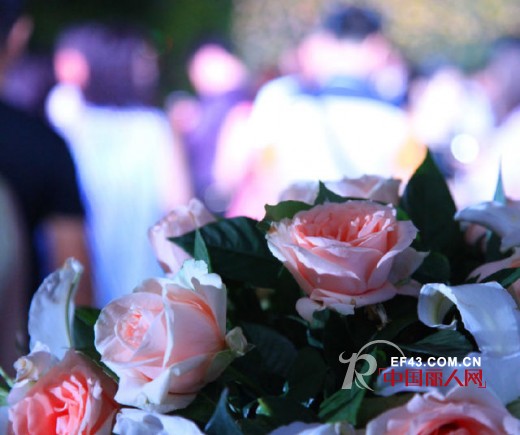 2015春季ik新品发布会已于8月25日大梅沙海景酒店圆满落幕