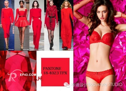 布迪设计-BodyStyle