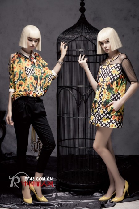 迪斯廷.凯-DistinKidny