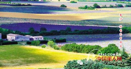 卓姿·乔雅2015年春季订货会“普罗旺斯之旅”即将开启