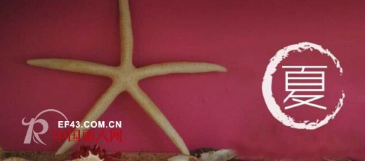 棉店cottonSHOP 童装2015春夏新品订货会在公司召开