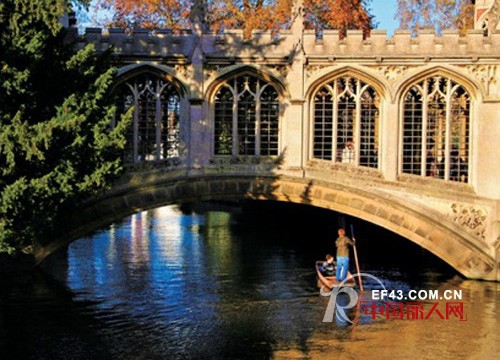 巴拉巴拉-balabala