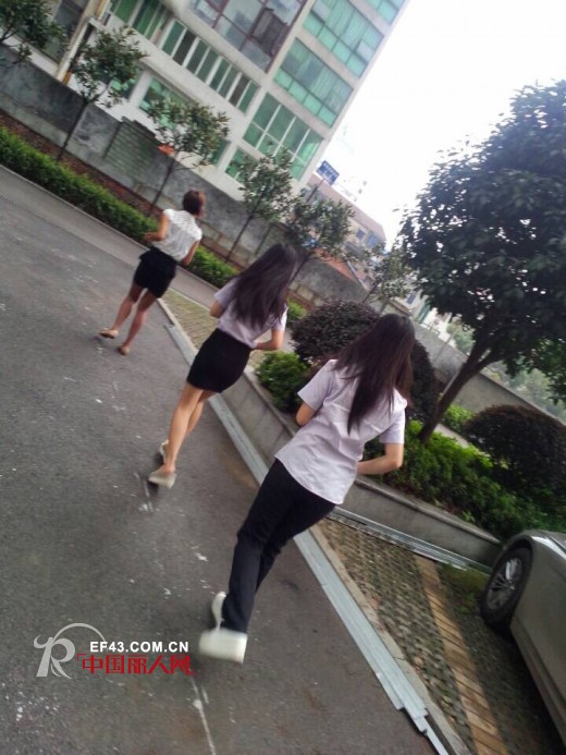 浪漫季节举办员工长跑健身活动 倡导科学健康生活