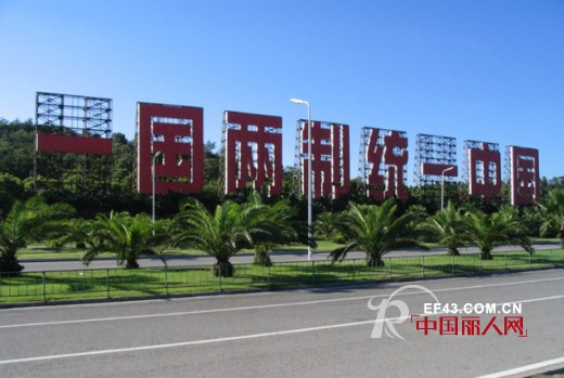 祝贺厦门王小姐成功签约朝暮之恋