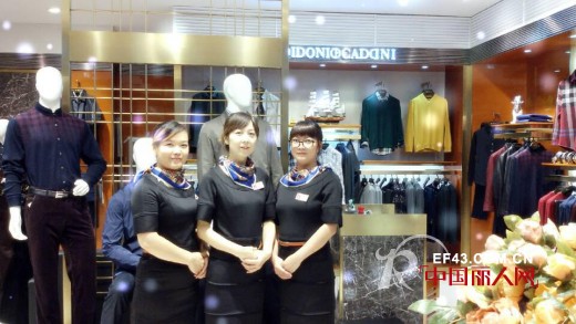 凯迪东尼 - CARDYDONY