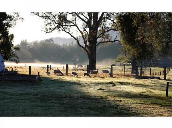 HAZZYS羊毛的柔软 予你温暖拥抱