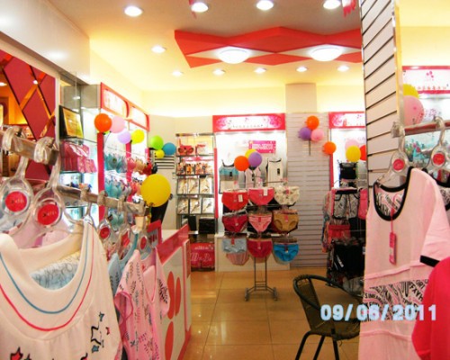 为什么这么越来越多的人选择内衣实体店 2019年最火爆的投资项目是什么