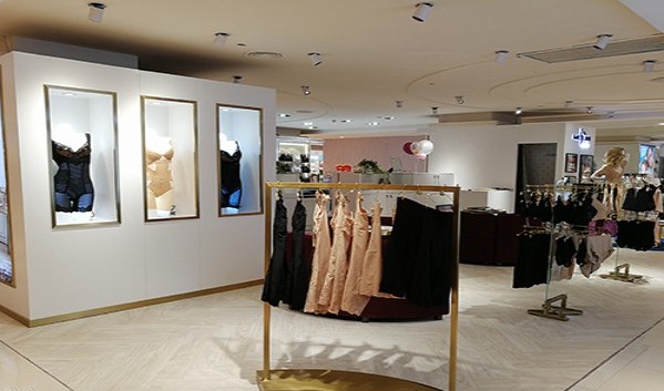 2019年火爆投资项目有哪些 内衣行业为什么这么赚钱