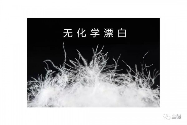 一篇文章告诉你 鹅绒羽绒为什么值得买 一篇文章告诉你 鹅绒羽绒为什么值得买