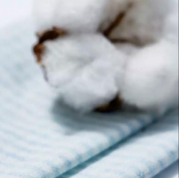 挑内裤该看哪点 有哪些优质内裤