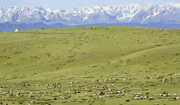 羊毛特辑 | 触碰,这个毛绒绒绒绒的冬天~