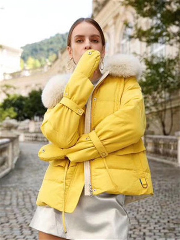 黄色好看吗 黄色的羽绒服为什么更受欢迎